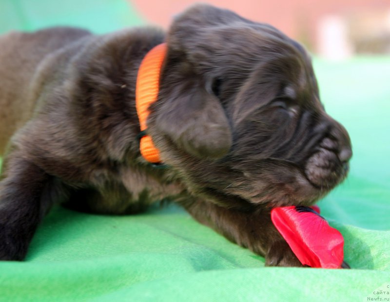 Фотография № 188628