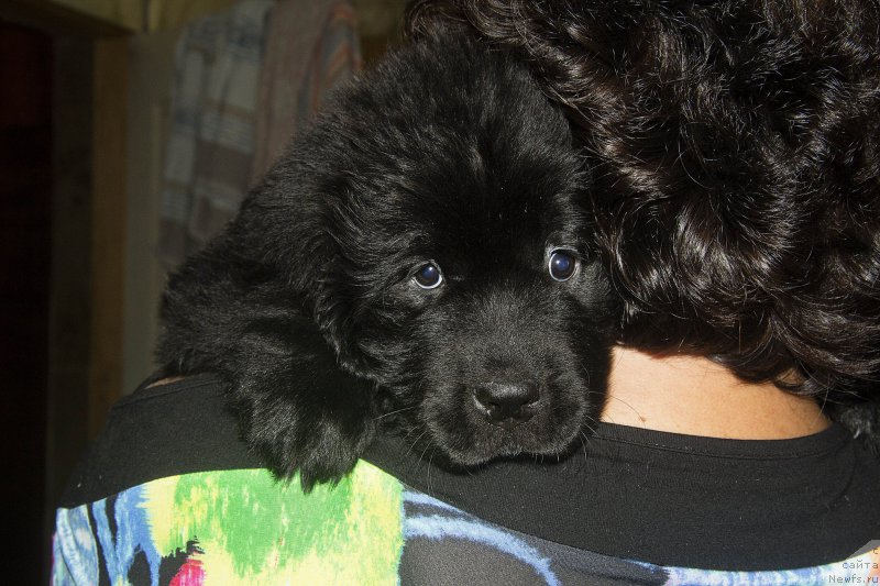 Фотография № 188636