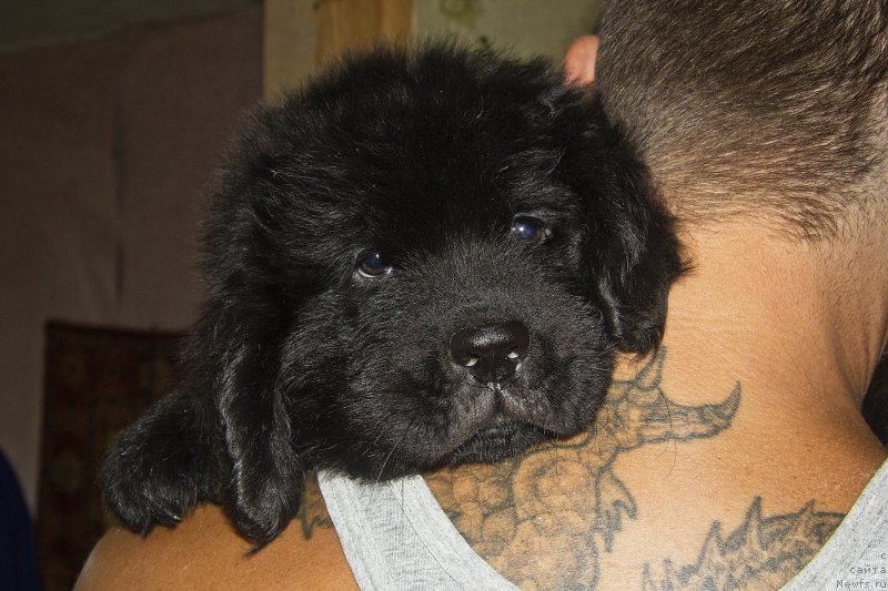 Фотография № 188637