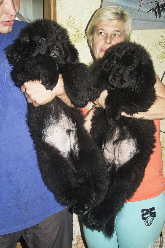 Фотография № 188639