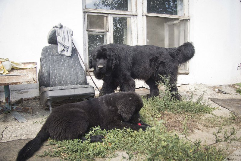 Фотография № 188640