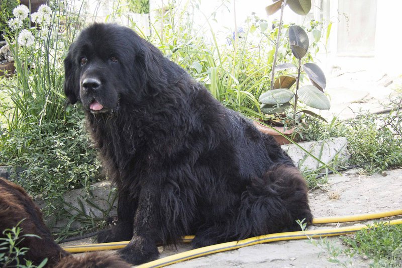 Фотография № 188644