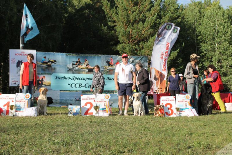 Фотография № 188648