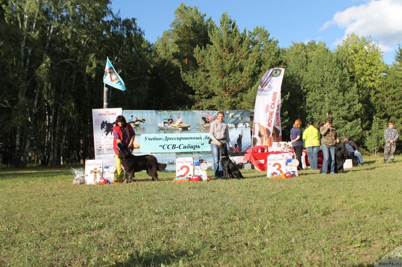 Фотография № 188651