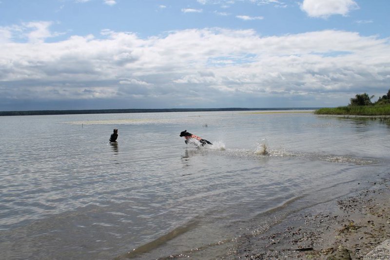 Фотография № 188652