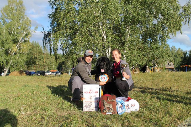 Фотография № 188653