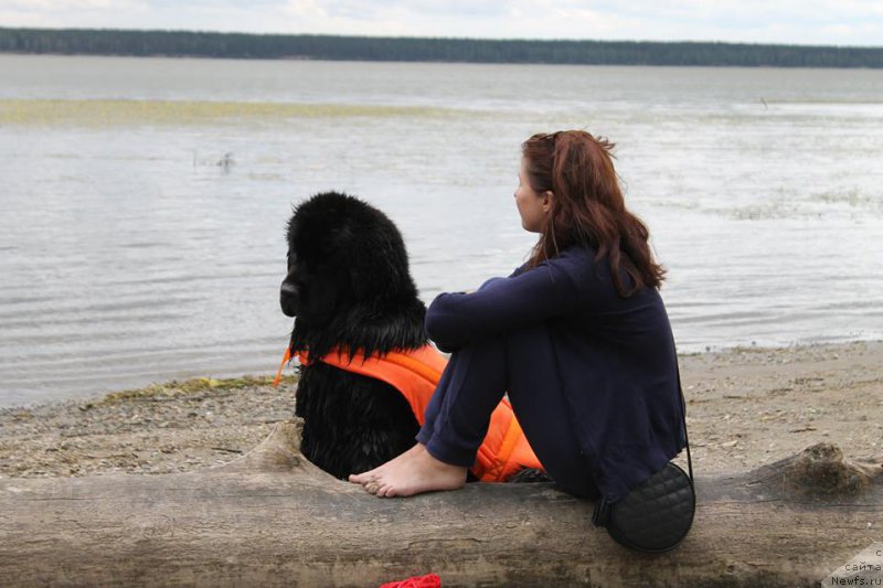 Фотография № 188654