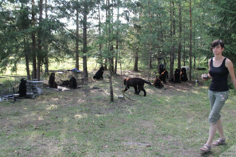 Фотография № 188659