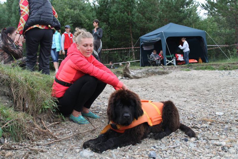 Фотография № 188660