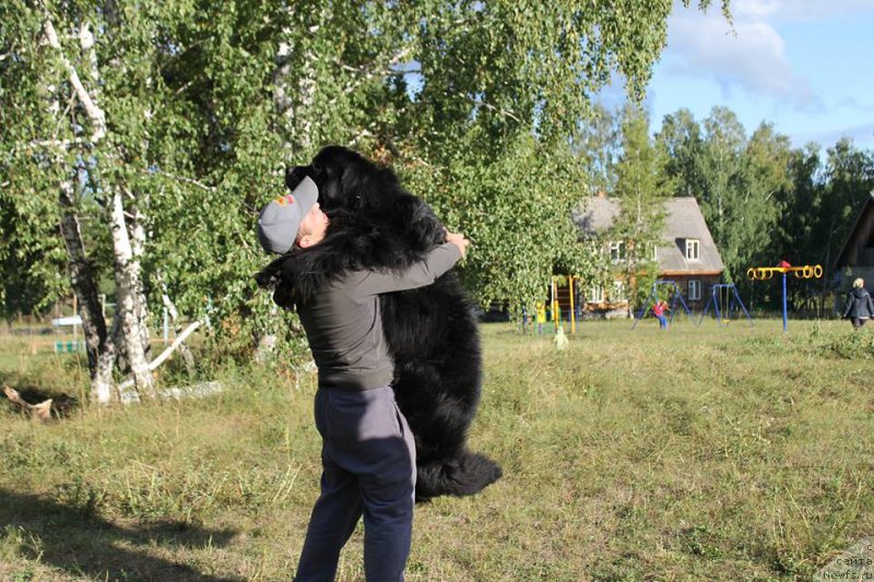 Фотография № 188666