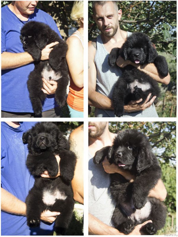 Фотография № 188667