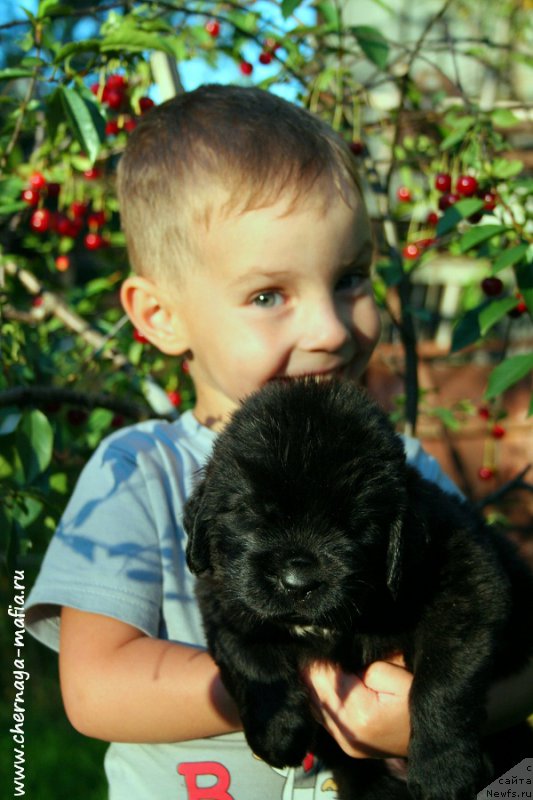 Фотография № 188670