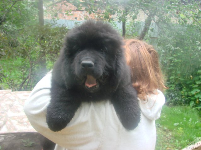 Фотография № 188676