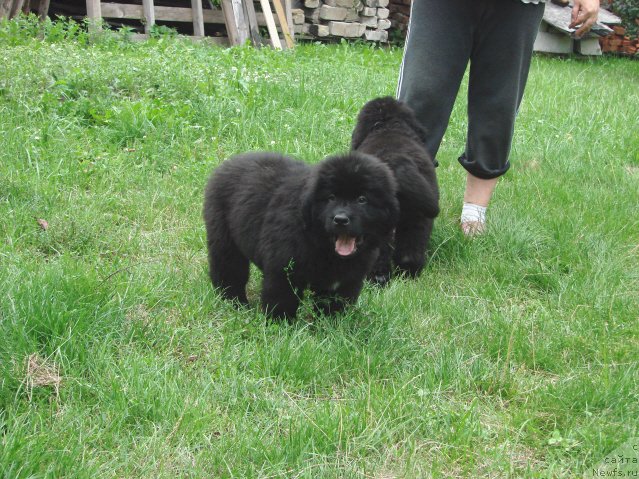 Фотография № 188677