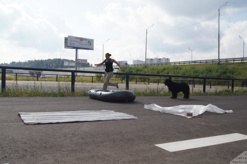 Фотография № 188681