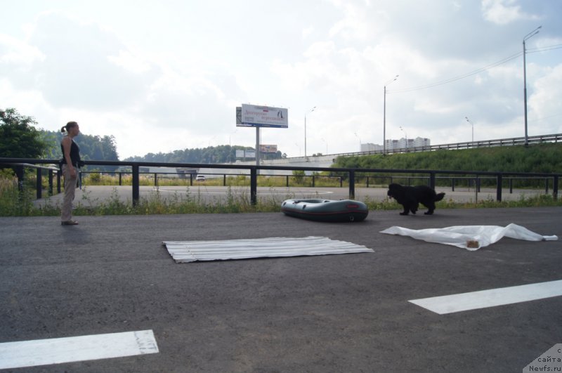 Фотография № 188682