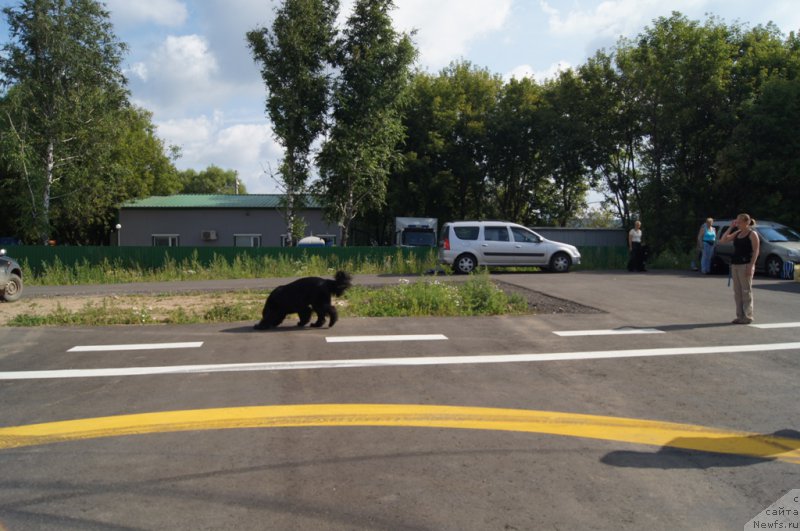 Фотография № 188683