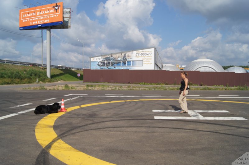 Фотография № 188685