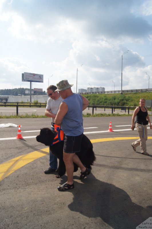 Фотография № 188687