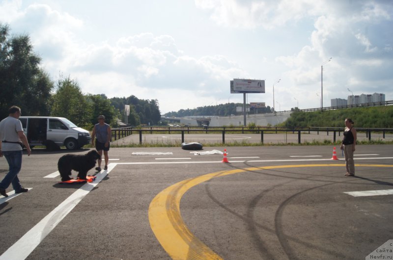 Фотография № 188689