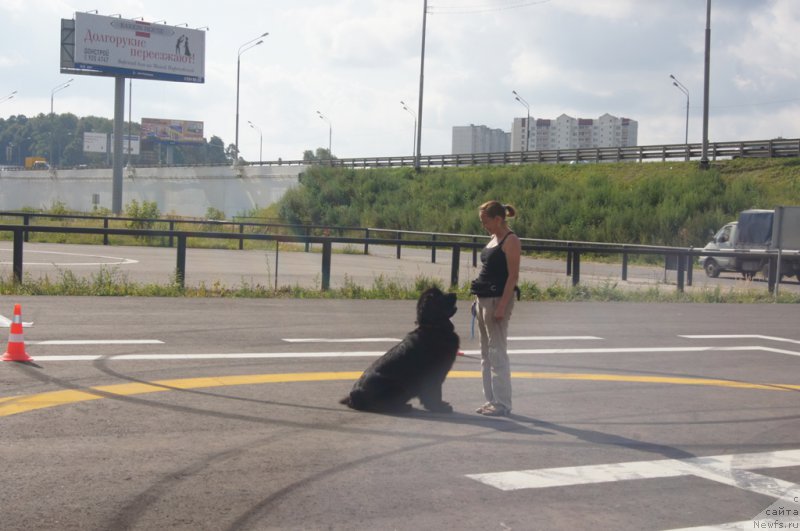 Фотография № 188690