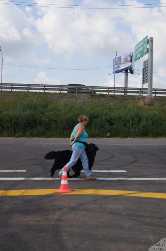 Фотография № 188691