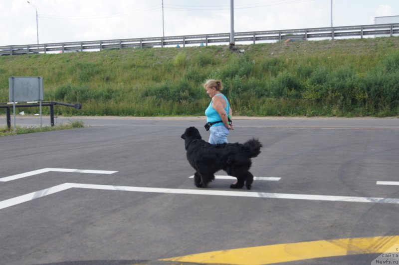 Фотография № 188692