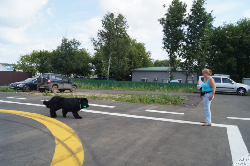 Фотография № 188696