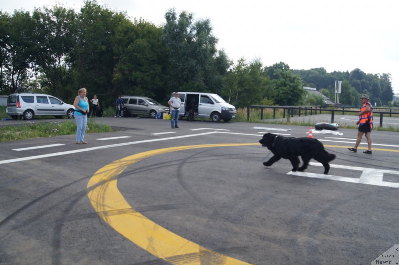 Фотография № 188698