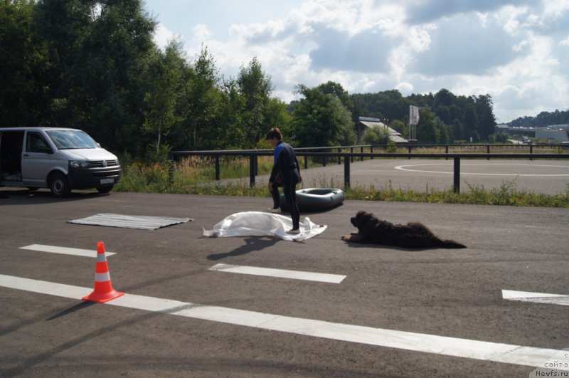 Фотография № 188706