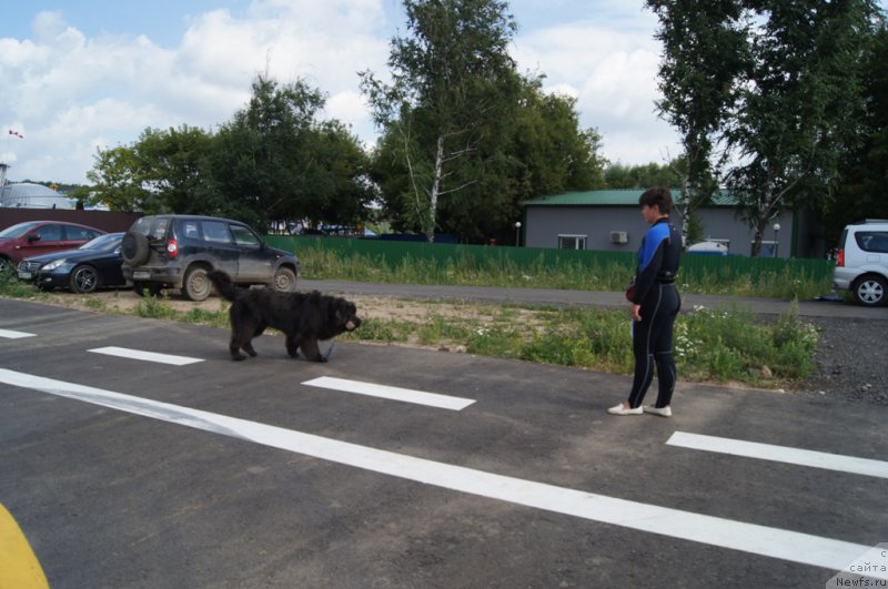 Фотография № 188708