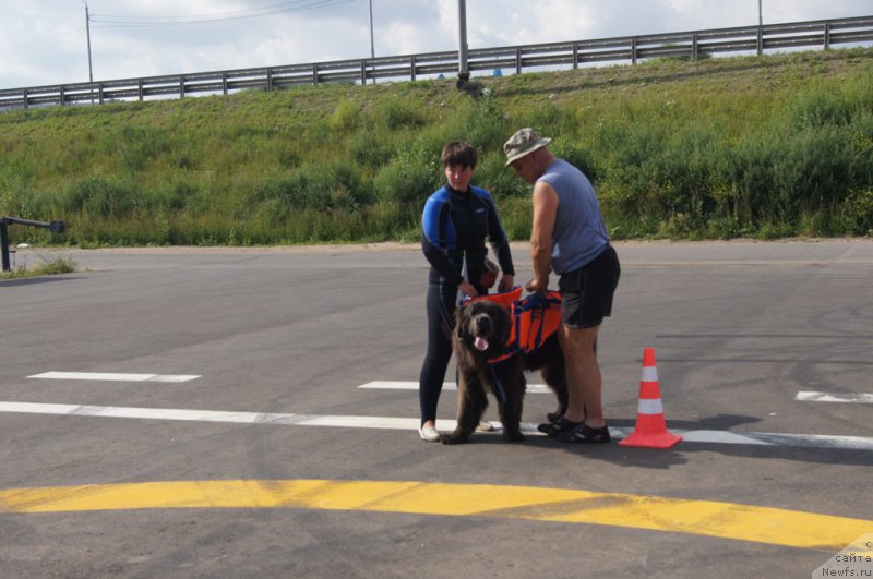 Фотография № 188709