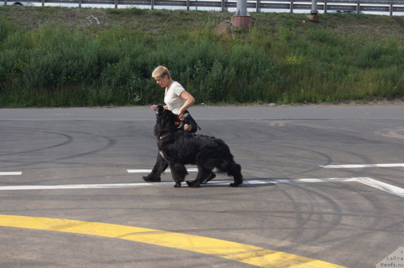 Фотография № 188714