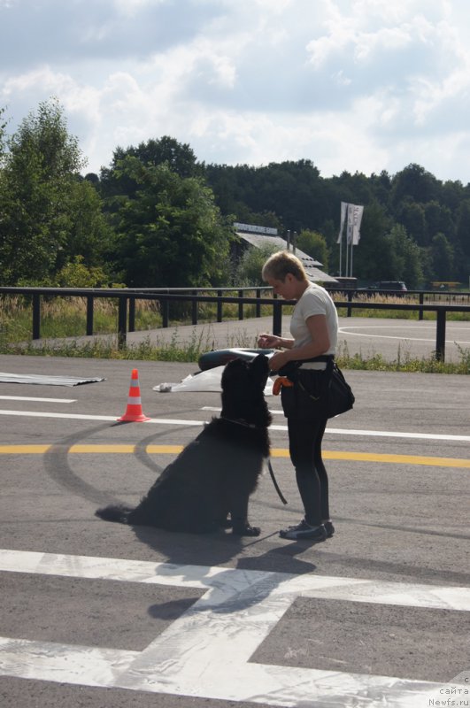 Фотография № 188729