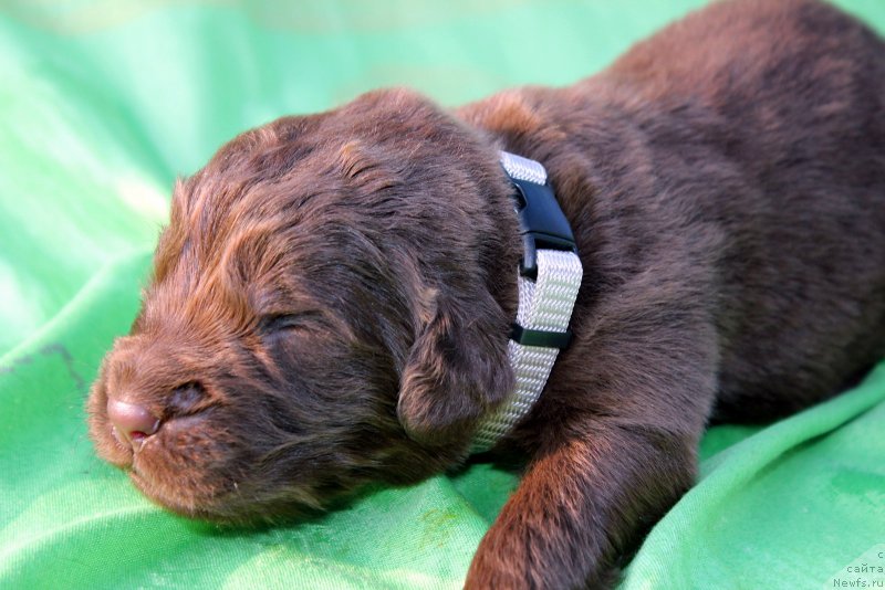 Фотография № 188749