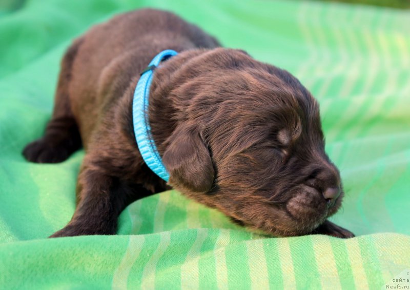 Фотография № 188752