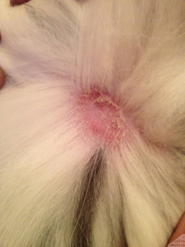 Фотография № 188757