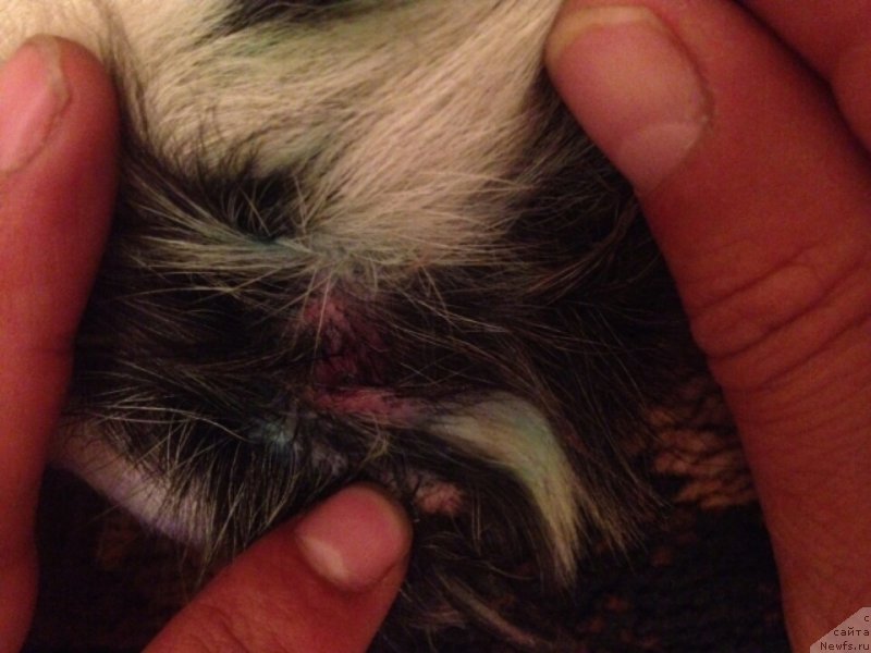 Фотография № 188759