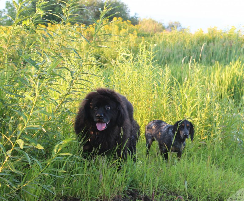 Фото: Лора, Рэй