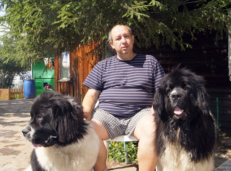 Фото: АНТОН и, ньюфаундленд Супер Бизон Мурсиелага, ньюфаундленд Супер Премиум Женева (Super Premium Zheneva)