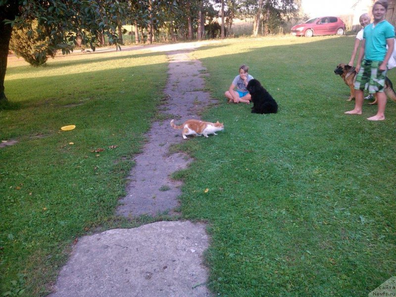 Фотография № 188819