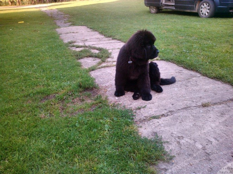 Фотография № 188820