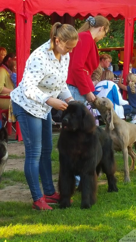 Фотография № 188826