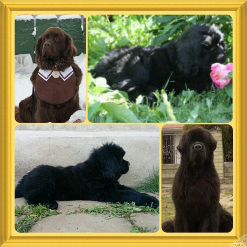 Фото: Наталья Смазчикова