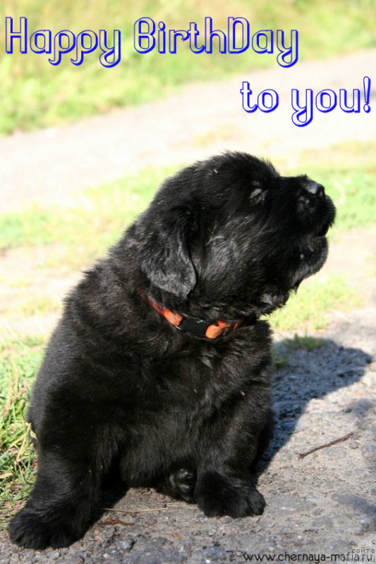 Фотография № 188837