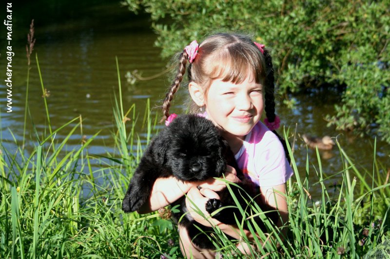 Фотография № 188845