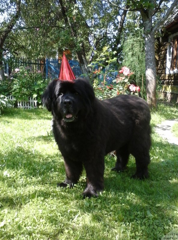 Фотография № 188850