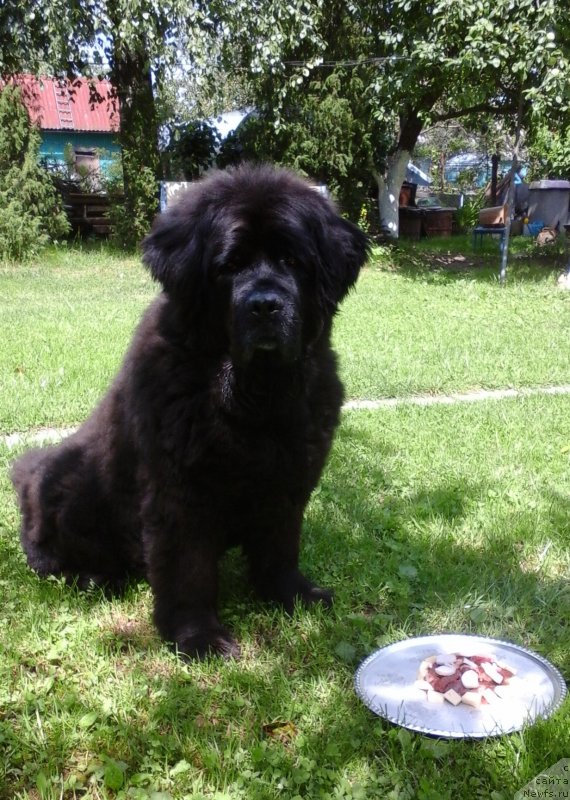 Фотография № 188851