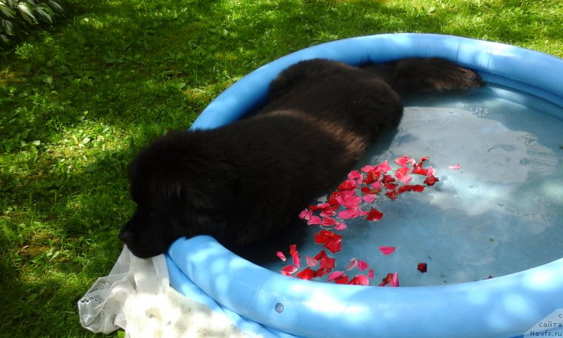 Фотография № 188852