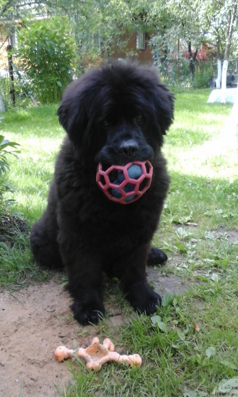 Фотография № 188853